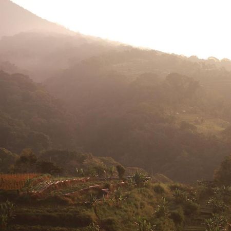 Pondok Kebun Gunung Bedugul  Zewnętrze zdjęcie